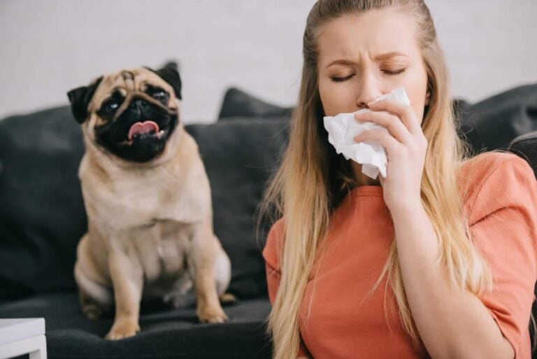 Are You Allergic to Your Pet?