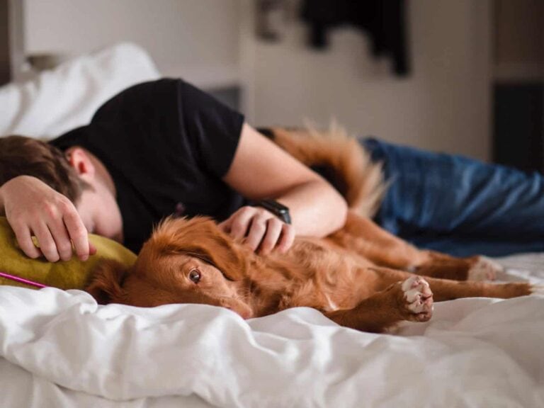 8 Reasons Why Your Pet is Basically A Therapist
